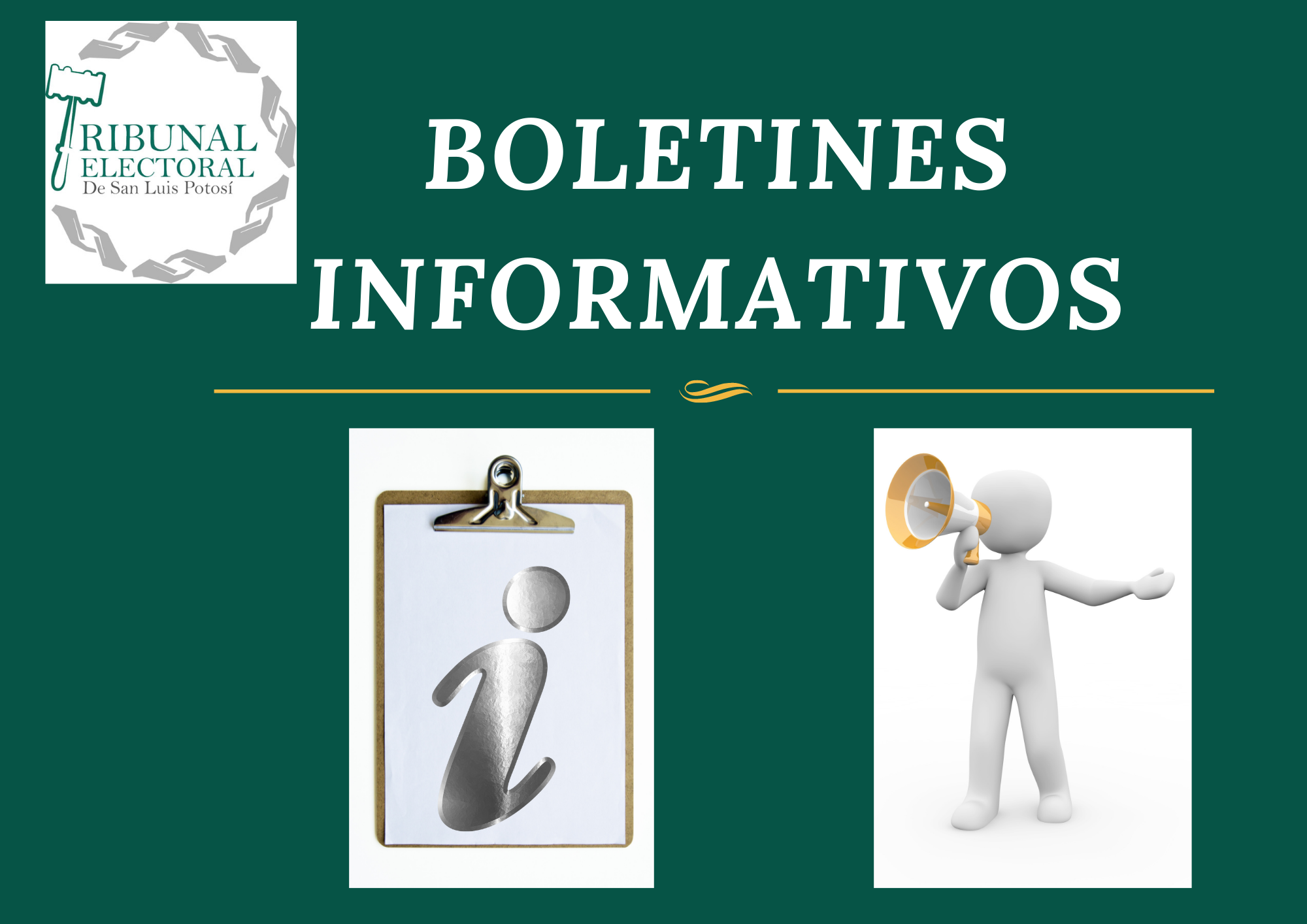 Boletines Informativos